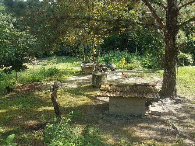 Terreno - Foto 6