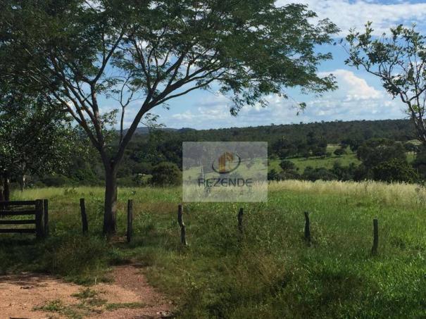 Fazenda com - 88 alqueires - R$ 3.000.000 - Miracema do TO. - Foto 18
