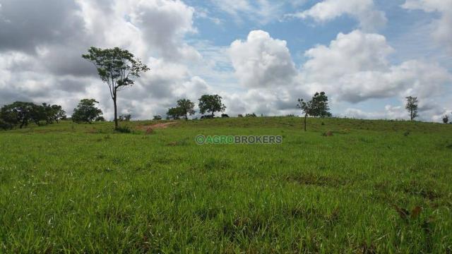 Sítio 19,5 ha em serra de são vicente - Foto 2