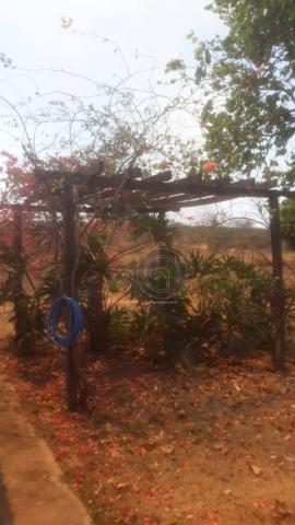 Sítio 92 ha no município de chapada dos guimarães - Foto 9