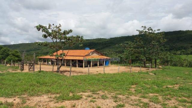 Sítio 19,5 ha em serra de são vicente