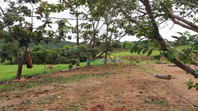 Sítio 19,5 ha em serra de são vicente - Foto 8