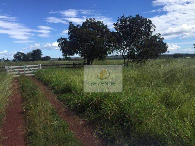 Fazenda com - 88 alqueires - R$ 3.000.000 - Miracema do TO.