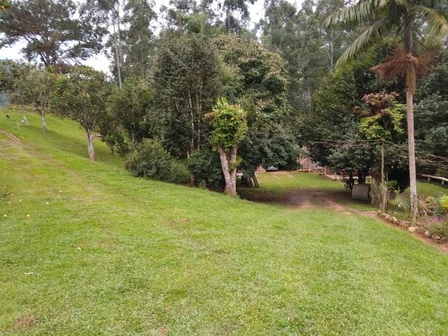 Lindo sítio em Itaiópolis - Foto 10