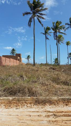Terreno em Paripueira - Condomínio Colinas do sonho verde - Foto 4