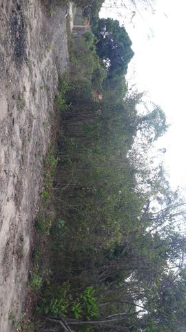 Terreno muinto bom - Foto 4