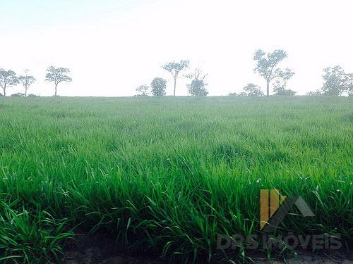 Rural fazenda - Bairro Centro em Corrente - Foto 5