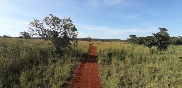 Fazenda - Foto 4