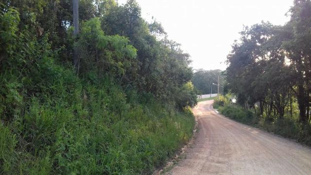 Chácara em Campestre da Faxina -São José dos Pinhais-R$190.000,00 - Foto 3