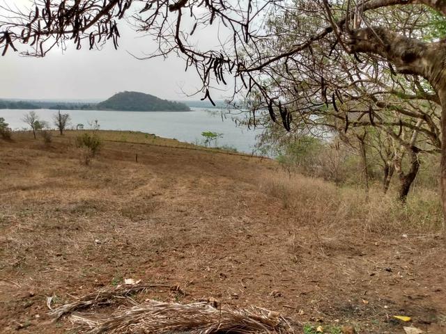 Agua Clara MS. 128 alqueres. top