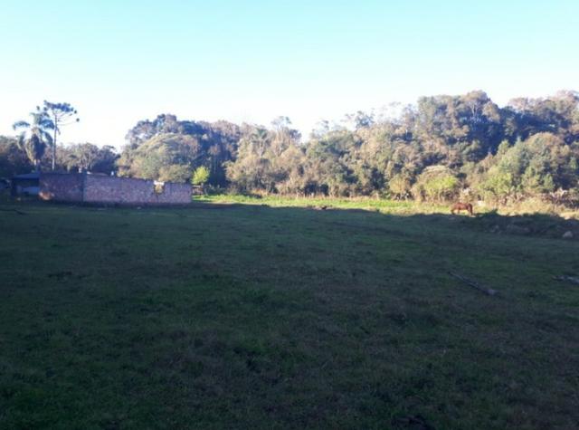 Chácara São José Dos Pinhas - Foto 3