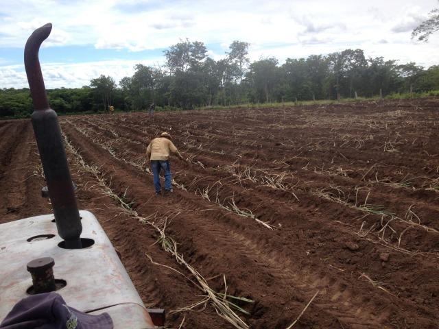 Sitio 15 hectares