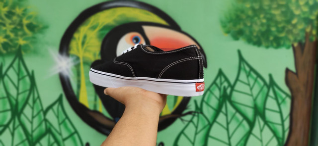 vans authentic 43