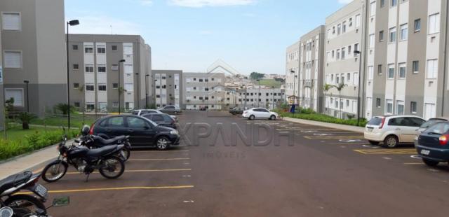 Apartamento para alugar com 2 dormitórios em Jardim veneto ii, Sertaozinho cod:L1376 - Foto 3