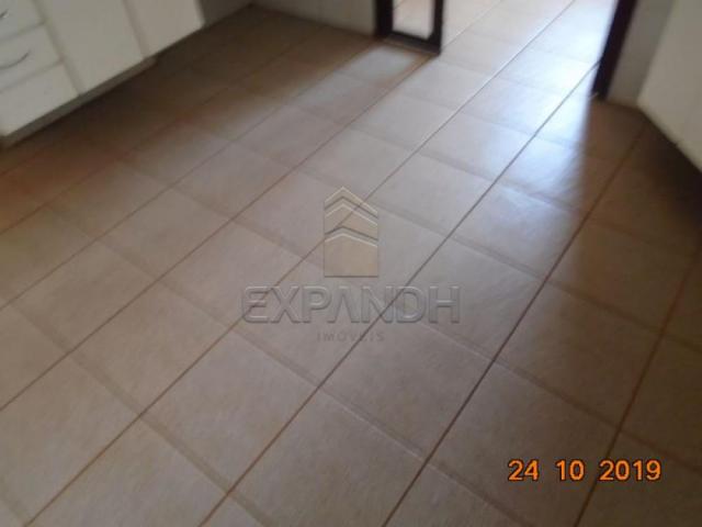 Apartamento para alugar com 2 dormitórios em Jardim sao jose, Sertaozinho cod:L1256 - Foto 19