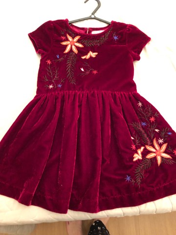Vestido veludo vinho bordado Zara