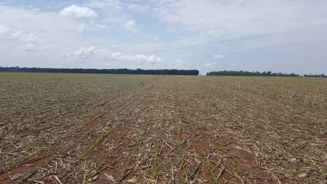 Fazenda em Ribeirão Cascalheira - MT - Foto 6
