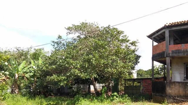 Vendo Sítio em Camaçari - Foto 2