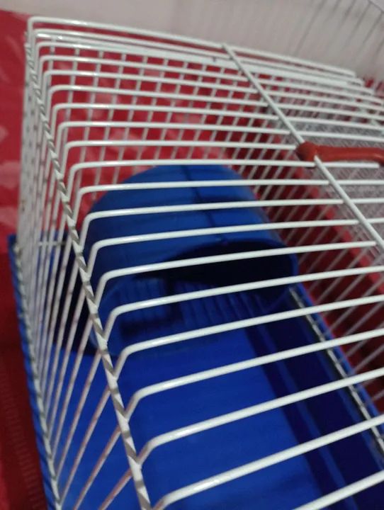 Kit 3 Gaiolas para Roedores + Extras - Foto 6