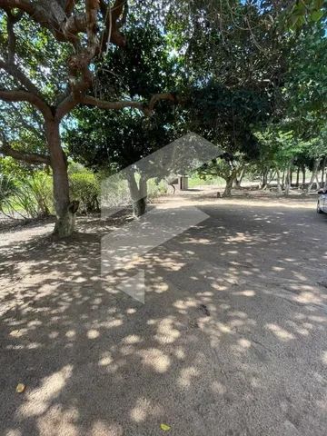 Sítio para Empreendedores- Oportunidade - Foto 3