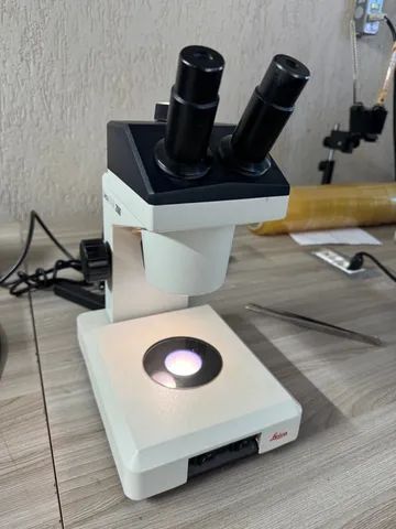 Microscópio estereoscópio Lupa Leica 