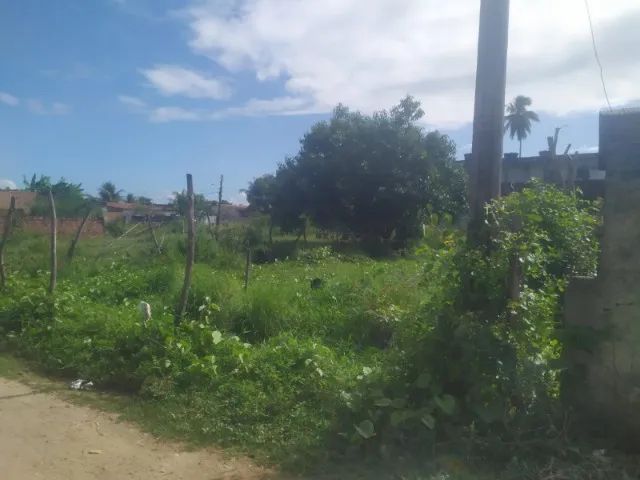 foto - Jaboatão dos Guararapes - Barra de Jangada