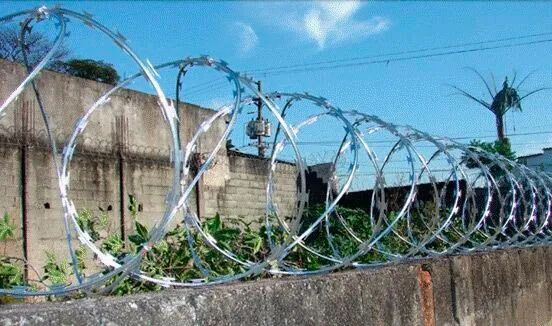 Cerca concertina dupla (metro) instalado - Foto 3