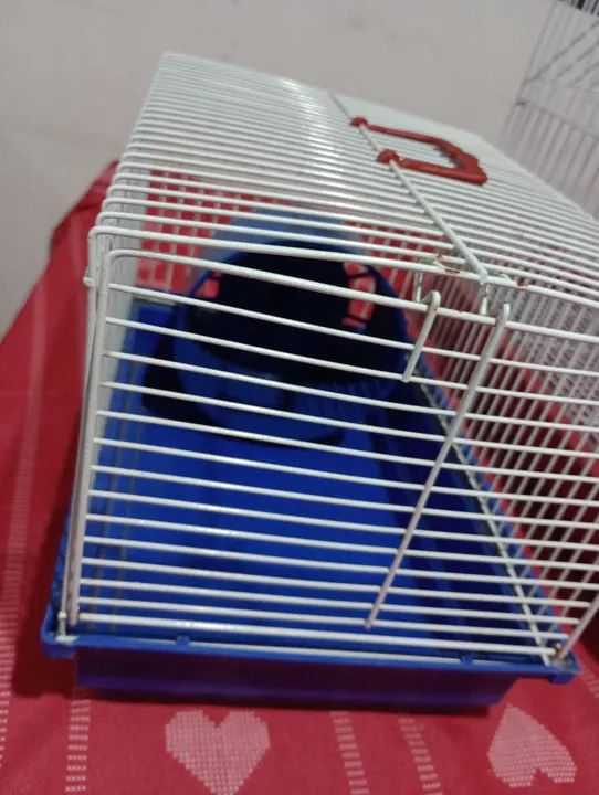 Kit 3 Gaiolas para Roedores + Extras - Foto 5