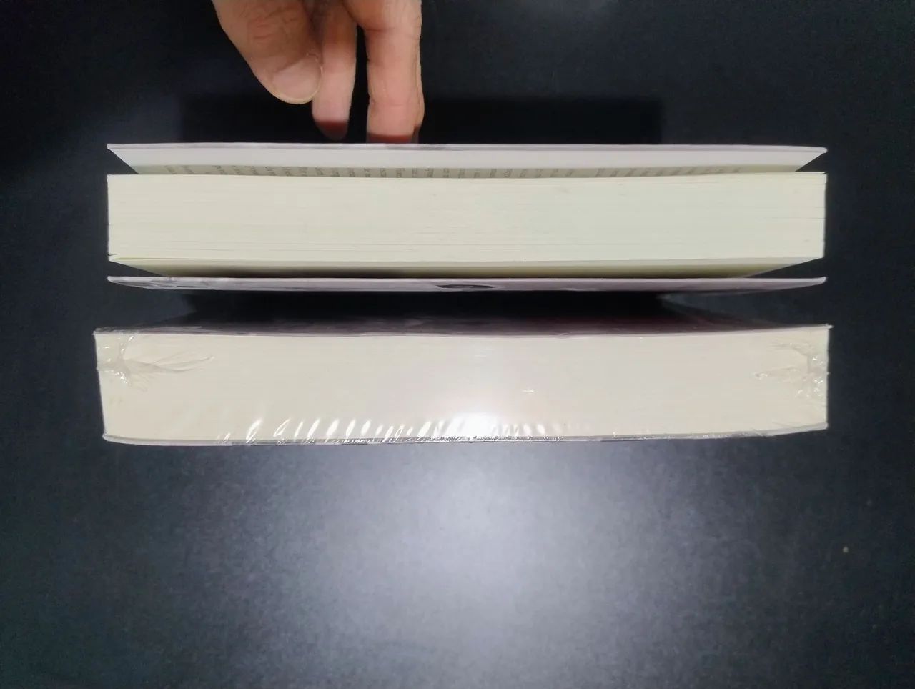 A Integração do Negro na Sociedade de Classe, Volumes 1 e 2 - Florestan Fernandes - Foto 6