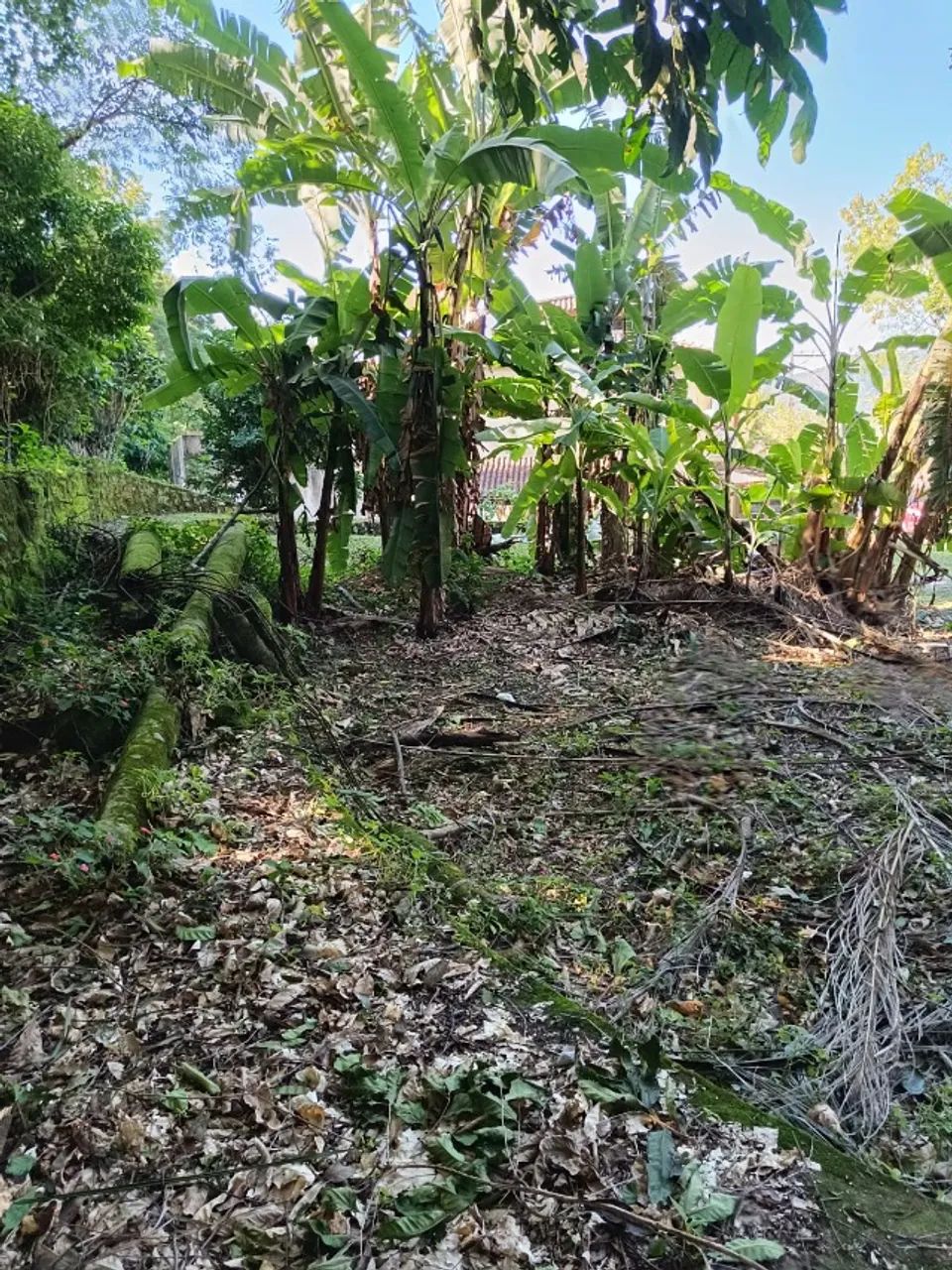 TERRENO SOLAR DE ITACURUÇA - Foto 3