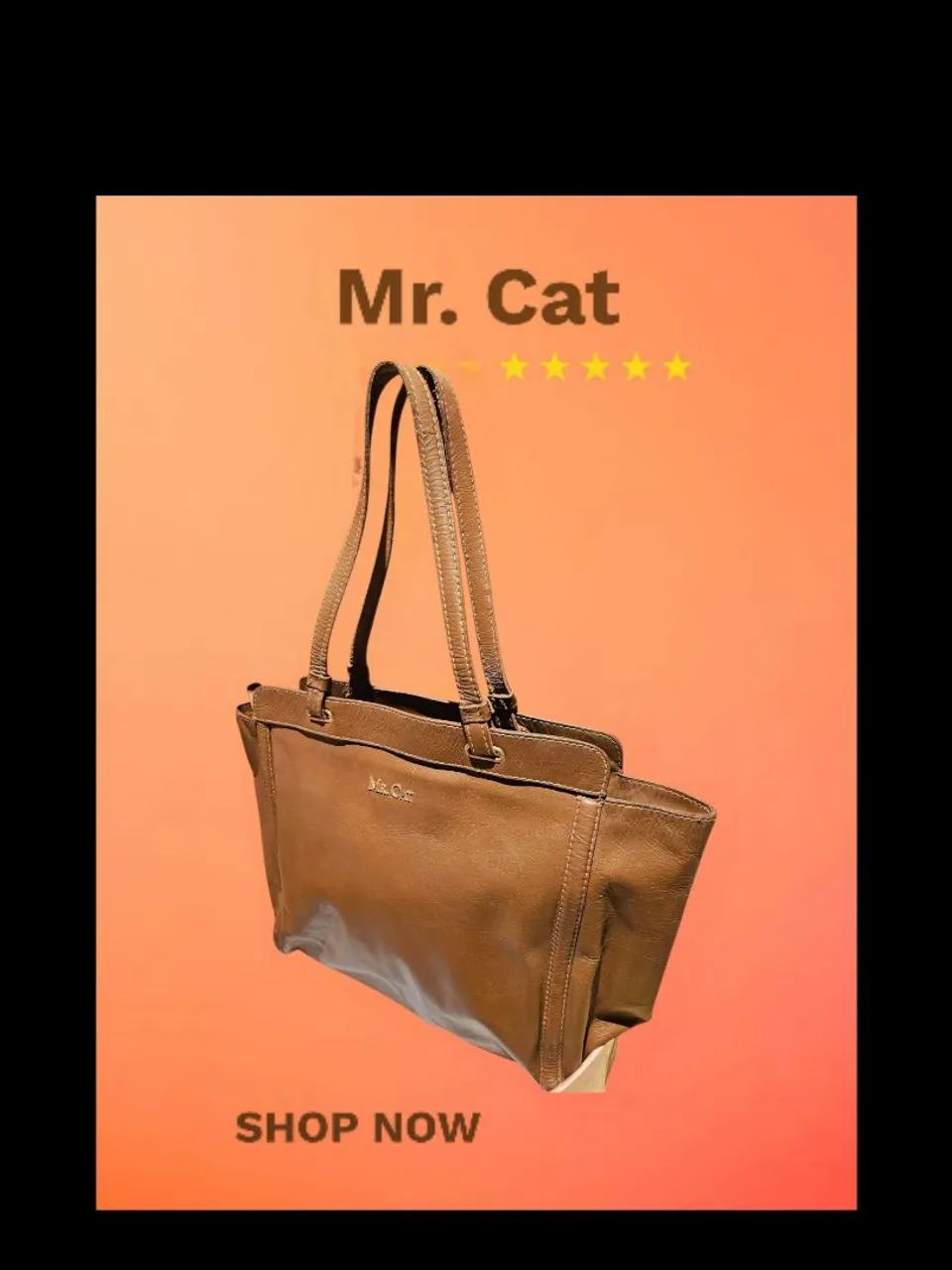 Bolsa de Ombro Mr. Cat Marrom - Foto 2