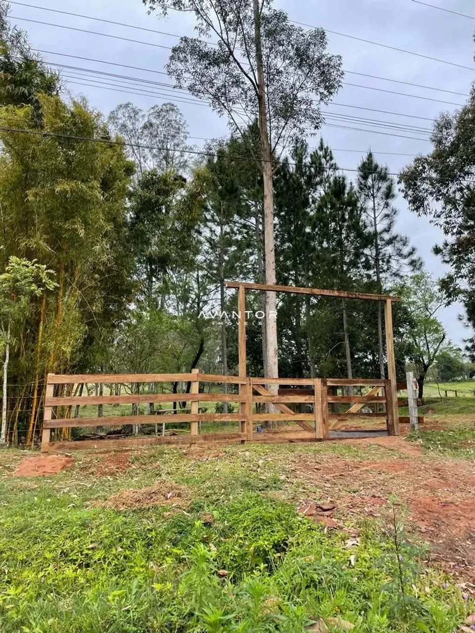 Área Rural De 5282 m² Em Localização de Fácil Acesso.