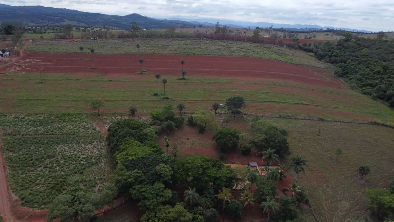 Fazendinhas rural em florestal  - Foto 2