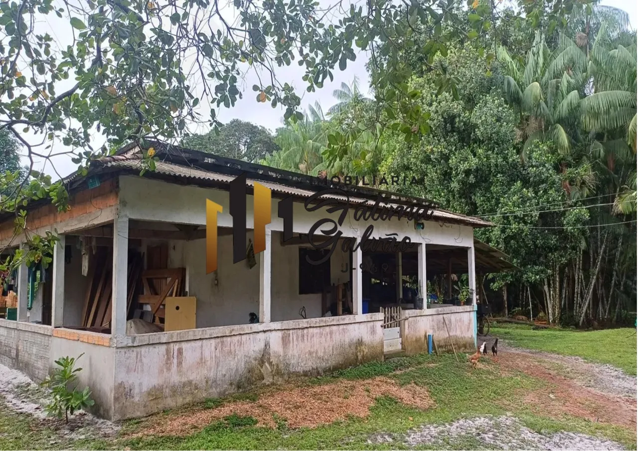 Vendo excelente Sítio em Santo Antônio do Táua-PA