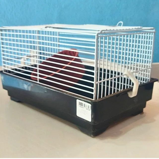 Gaiola Hamster Roborovski Chinês Topolino Minizinha _ PT04 - Foto 3