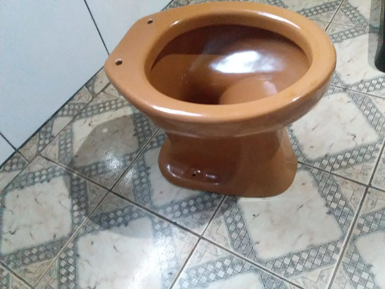 Vaso sanitário em perfeito estado