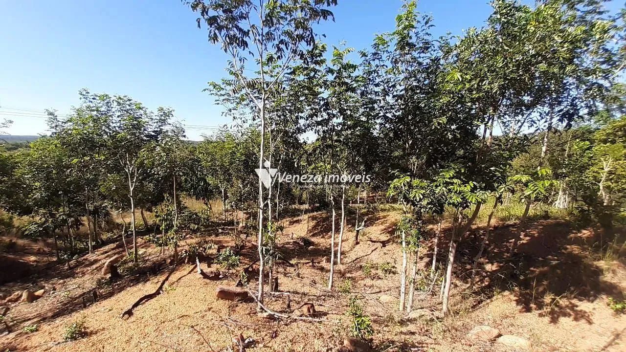 Terreno no povoado nova olinda para venda - Foto 3
