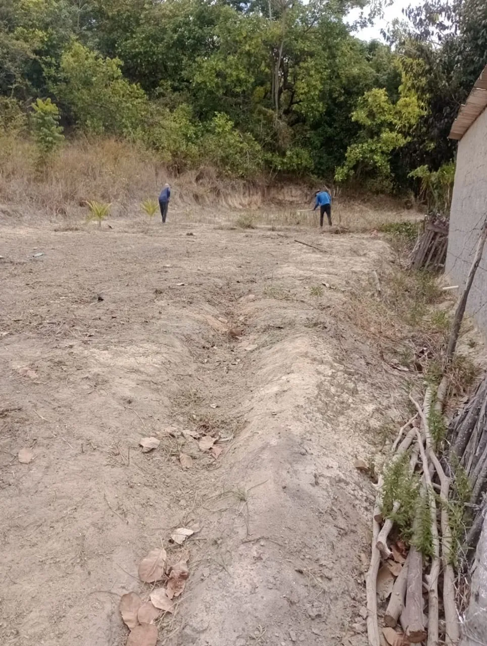 TERRENO EM CARNE DE VACA $20.000