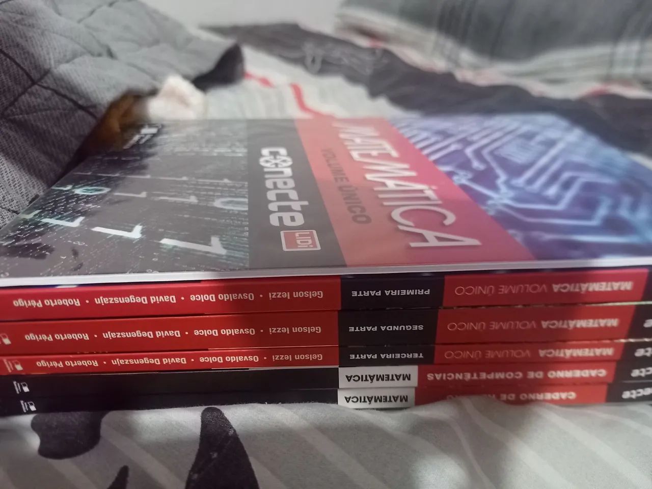 Matemática - Volume Único - Conecte - Editora Saraiva - Foto 2
