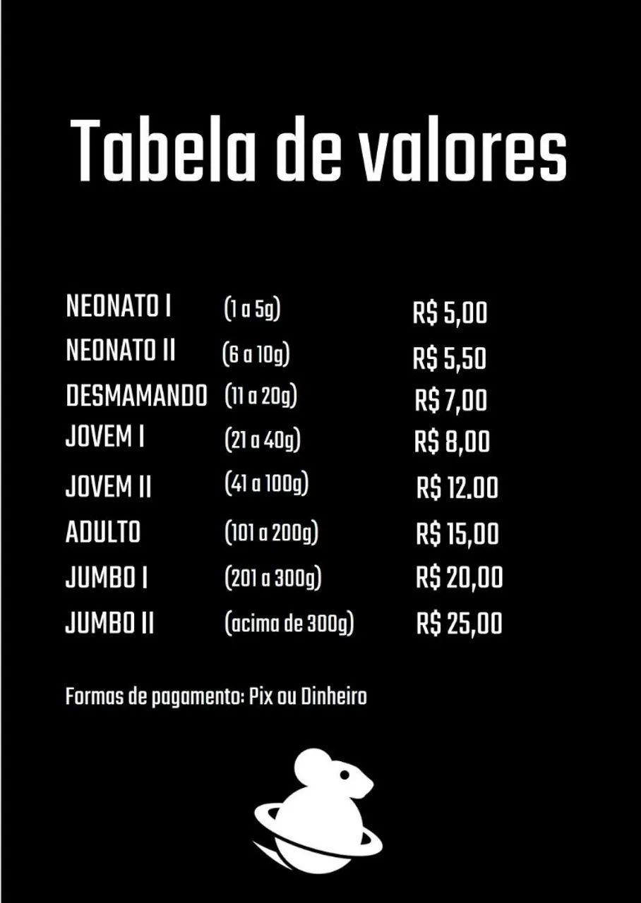Ratos e camundongos para alimentação de serpentes 