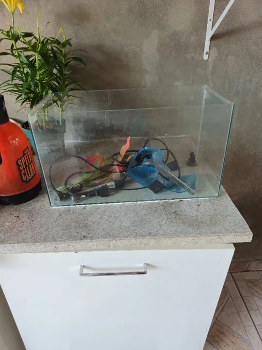 Aquário completo - Foto 2