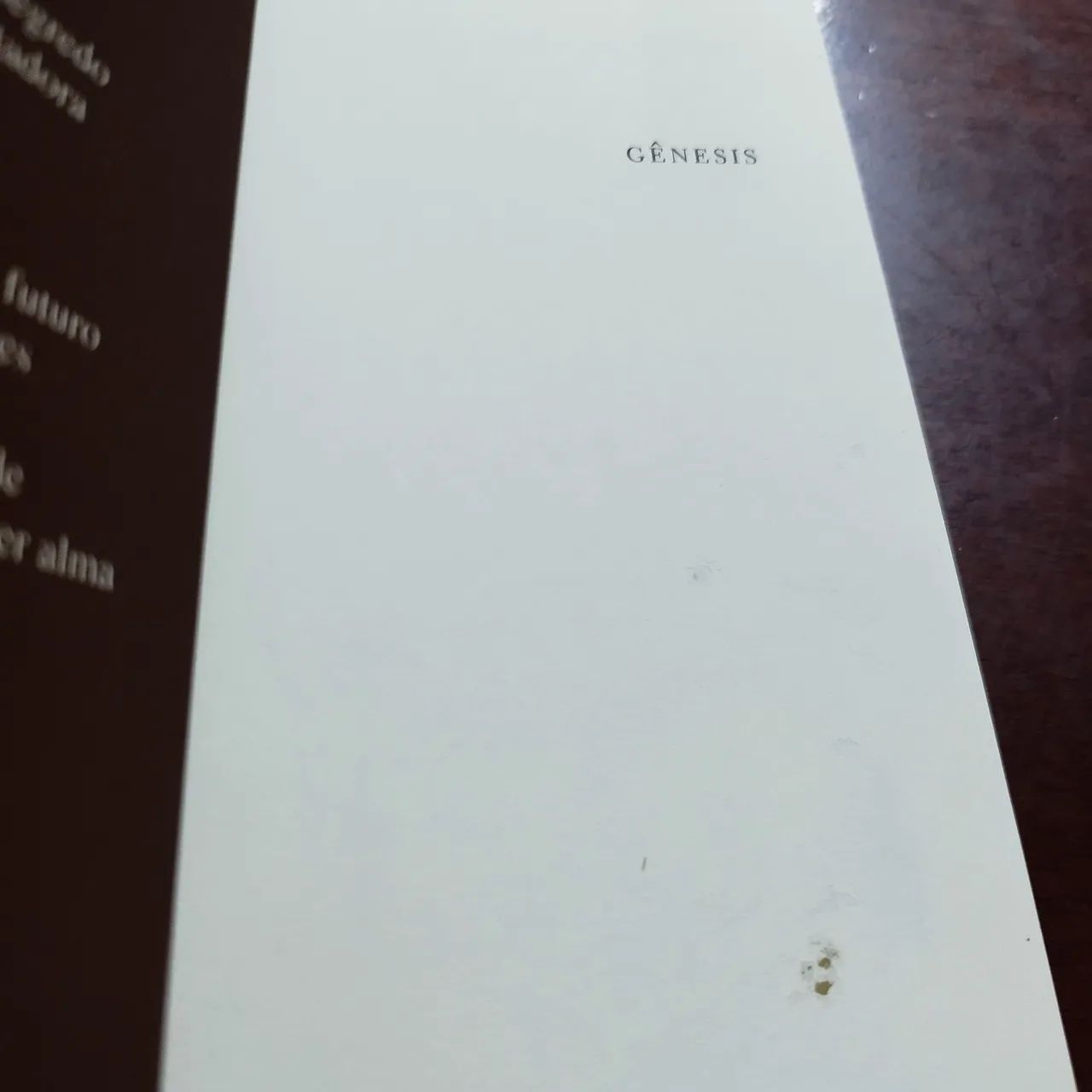Dois livros de Bernardo Beckett: Gênesis e O leitor. - Foto 4