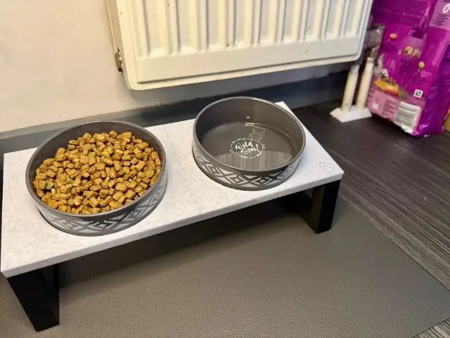 comedor duplo para pets - Foto 3