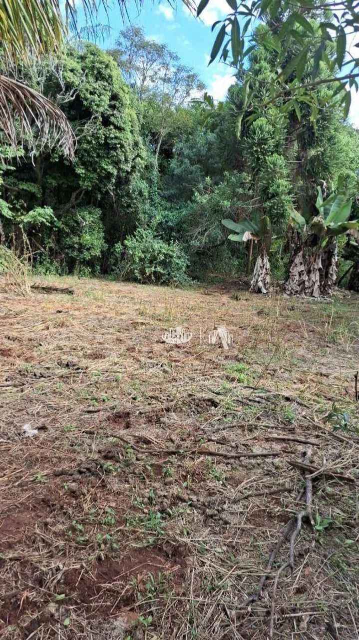 Chácara à venda, 3334 m² por R$ 1.500.000,00 - Vale dos Tucanos - Londrina/PR - Foto 10