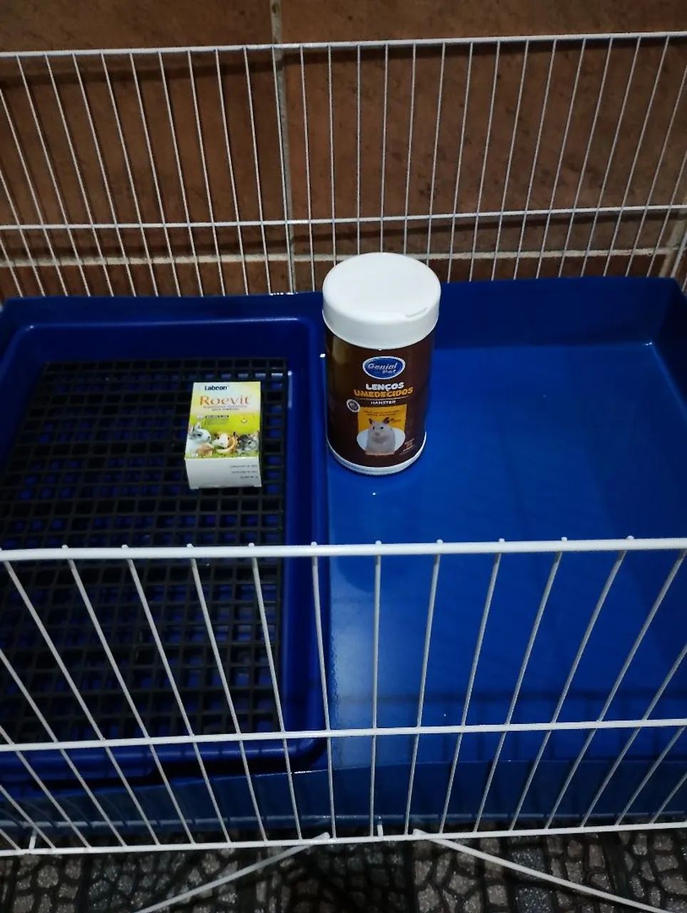 Kit para porquinho da índia 