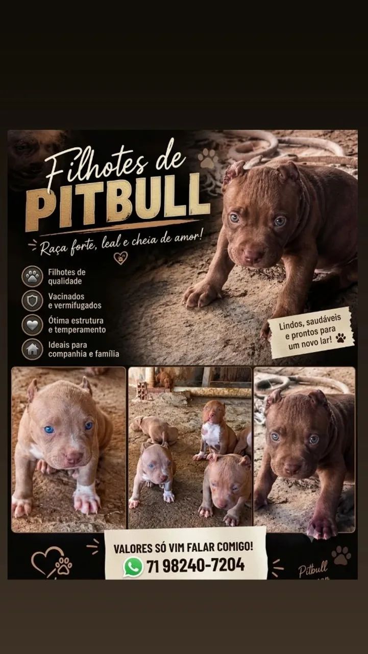 Pitmonster