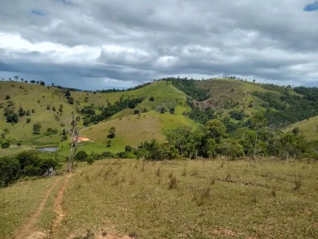 Fazenda 63Hectares Ibicui-Ba - Foto 5