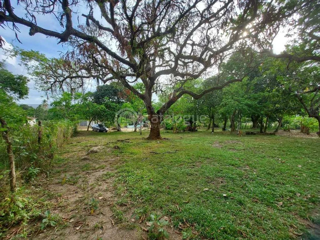 Sitio em São José de Mipibu