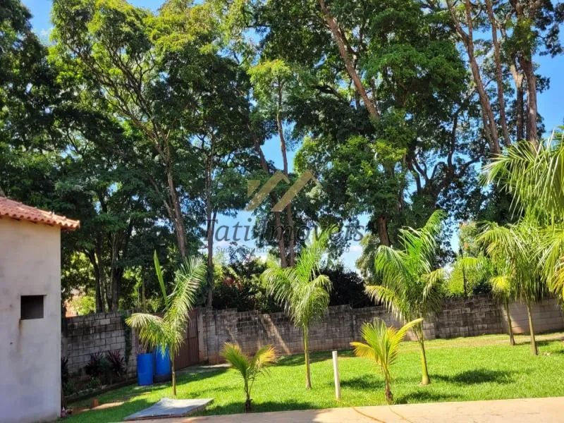 Comercial - Ibate - Foto 4