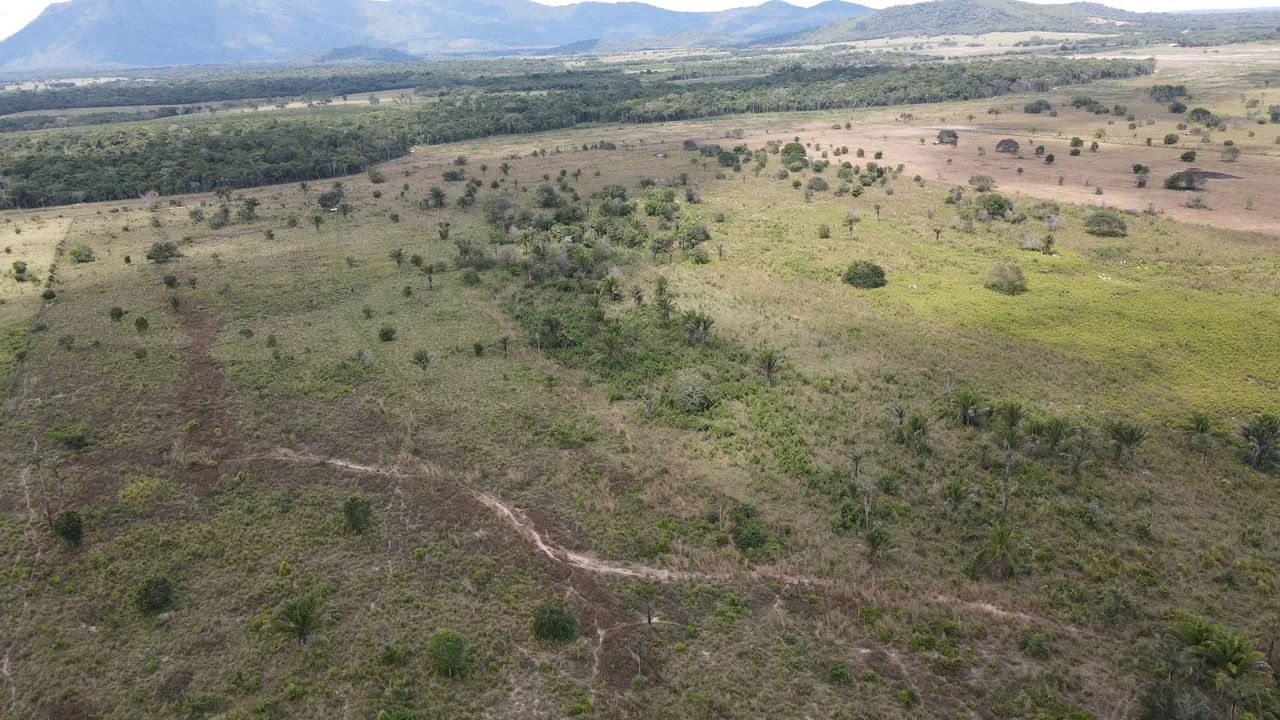 VENDE FAZENDA DUPLA APTIDÃO NO CANTA RR - Foto 4